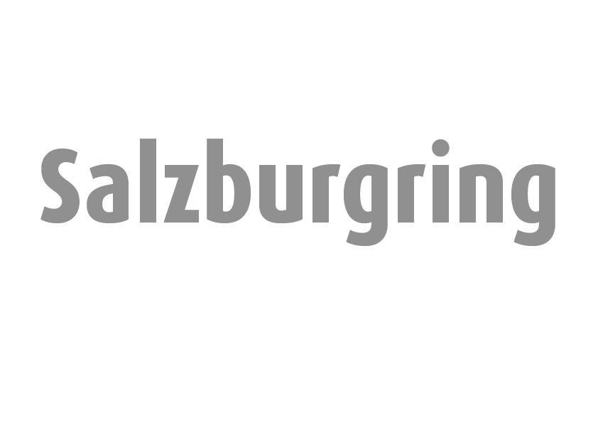 Salzburg Logo.png
